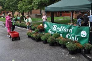 MUMS Sale - 2016-18 