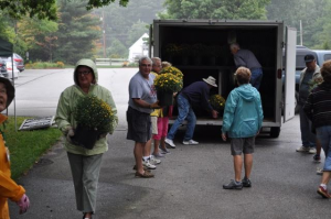 MUMS Sale - 2016-2 