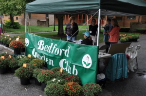 MUMS Sale - 2016-22-volunteers 