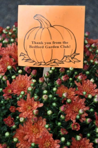 MUMS Sale - 2016-23-flowers-sign 