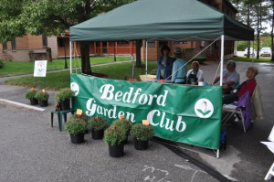 MUMS Sale - 2016-30-volunteers 