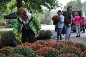 MUMS Sale - 2016-9 Dorris  